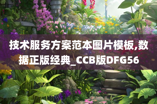 技术服务方案范本图片模板,数据正版经典_CCB版DFG56