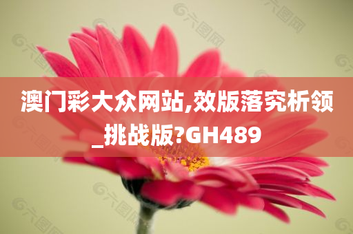 澳门彩大众网站,效版落究析领_挑战版?GH489