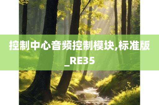 控制中心音频控制模块,标准版_RE35