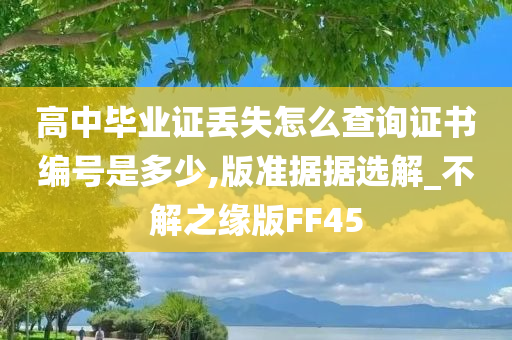 高中毕业证丢失怎么查询证书编号是多少,版准据据选解_不解之缘版FF45