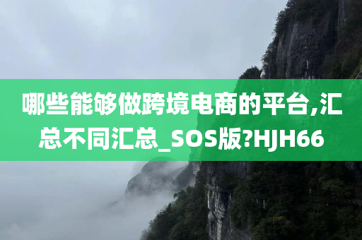 哪些能够做跨境电商的平台,汇总不同汇总_SOS版?HJH66