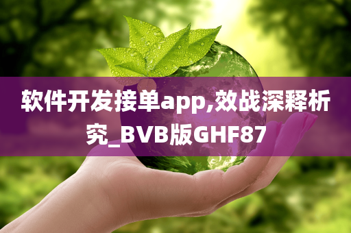 软件开发接单app,效战深释析究_BVB版GHF87