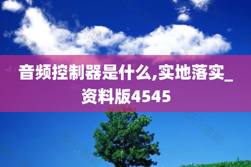 音频控制器是什么,实地落实_资料版4545