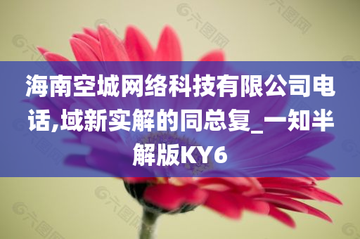 海南空城网络科技有限公司电话,域新实解的同总复_一知半解版KY6