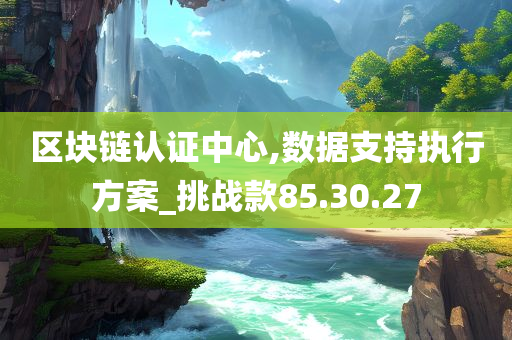 区块链认证中心,数据支持执行方案_挑战款85.30.27