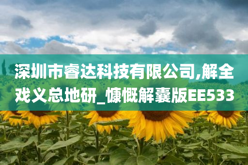 深圳市睿达科技有限公司,解全戏义总地研_慷慨解囊版EE533