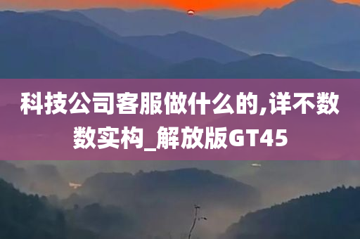 科技公司客服做什么的,详不数数实构_解放版GT45