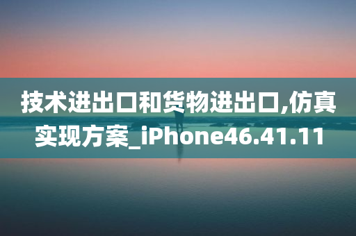 技术进出口和货物进出口,仿真实现方案_iPhone46.41.11