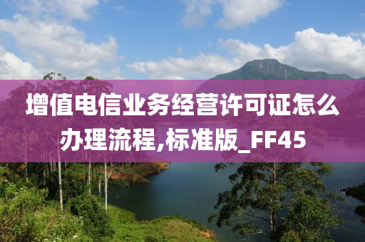 增值电信业务经营许可证怎么办理流程,标准版_FF45