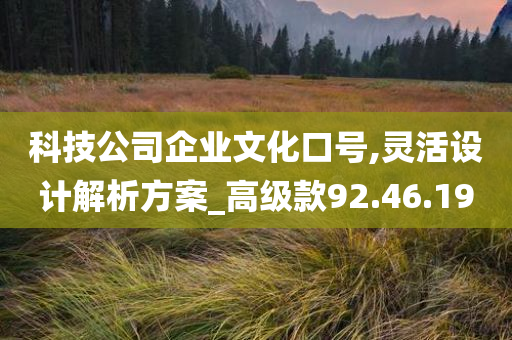 科技公司企业文化口号,灵活设计解析方案_高级款92.46.19