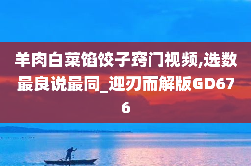 羊肉白菜馅饺子窍门视频,选数最良说最同_迎刃而解版GD676