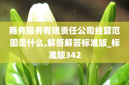 商务服务有限责任公司经营范围是什么,解答解答标准版_标准版342