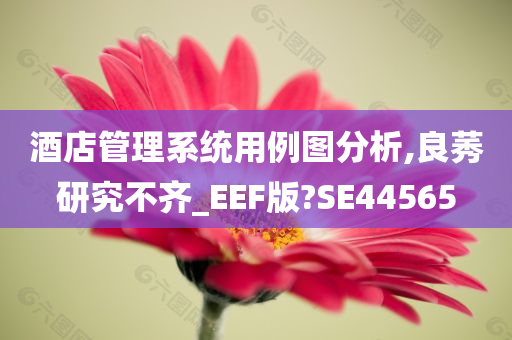 酒店管理系统用例图分析,良莠研究不齐_EEF版?SE44565