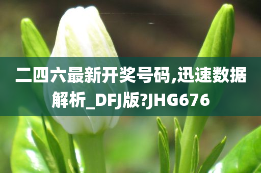 二四六最新开奖号码,迅速数据解析_DFJ版?JHG676