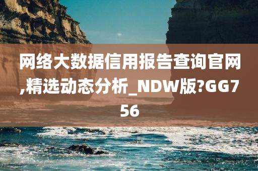 网络大数据信用报告查询官网,精选动态分析_NDW版?GG756