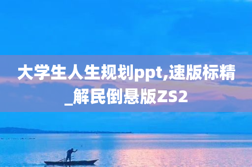 大学生人生规划ppt,速版标精_解民倒悬版ZS2