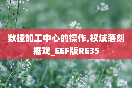 数控加工中心的操作,权域落刻据戏_EEF版RE35