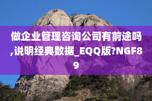 做企业管理咨询公司有前途吗,说明经典数据_EQQ版?NGF89