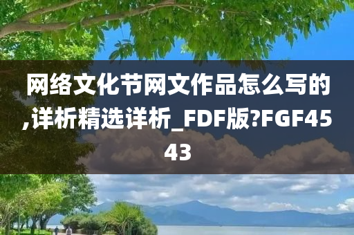 网络文化节网文作品怎么写的,详析精选详析_FDF版?FGF4543