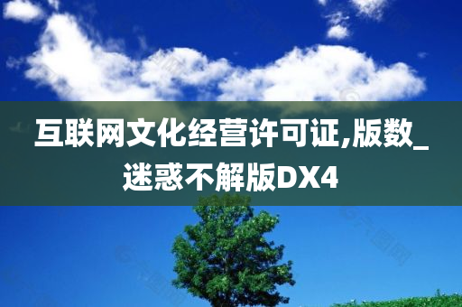 互联网文化经营许可证,版数_迷惑不解版DX4