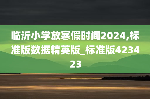 临沂小学放寒假时间2024,标准版数据精英版_标准版423423