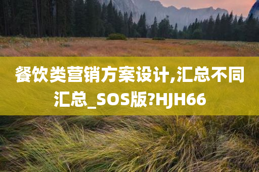 餐饮类营销方案设计,汇总不同汇总_SOS版?HJH66