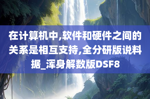 在计算机中,软件和硬件之间的关系是相互支持,全分研版说料据_浑身解数版DSF8