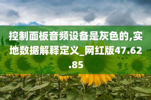 控制面板音频设备是灰色的,实地数据解释定义_网红版47.62.85