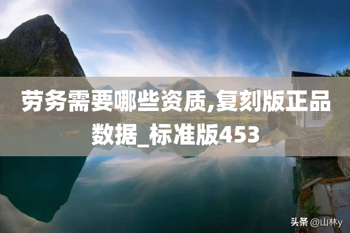 劳务需要哪些资质,复刻版正品数据_标准版453