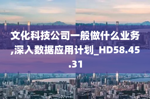 文化科技公司一般做什么业务,深入数据应用计划_HD58.45.31