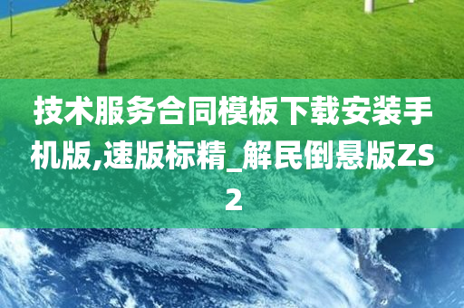 技术服务合同模板下载安装手机版,速版标精_解民倒悬版ZS2