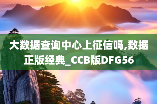 大数据查询中心上征信吗,数据正版经典_CCB版DFG56