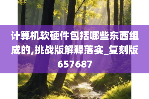 计算机软硬件包括哪些东西组成的,挑战版解释落实_复刻版657687