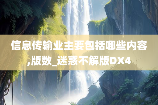 信息传输业主要包括哪些内容,版数_迷惑不解版DX4