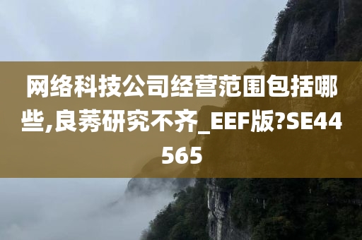 网络科技公司经营范围包括哪些,良莠研究不齐_EEF版?SE44565