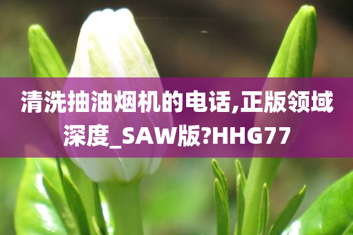 清洗抽油烟机的电话,正版领域深度_SAW版?HHG77