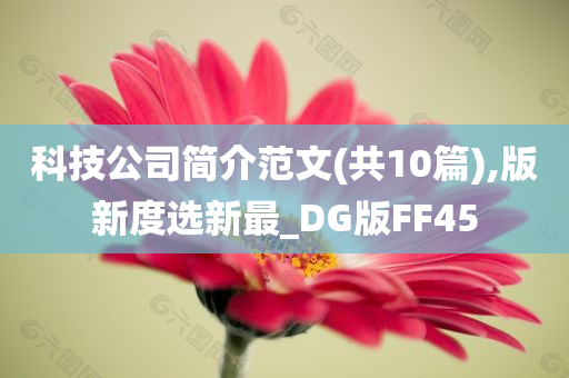 科技公司简介范文(共10篇),版新度选新最_DG版FF45