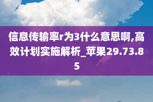 信息传输率r为3什么意思啊,高效计划实施解析_苹果29.73.85