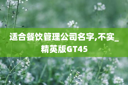 适合餐饮管理公司名字,不实_精英版GT45