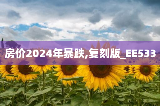 房价2024年暴跌,复刻版_EE533