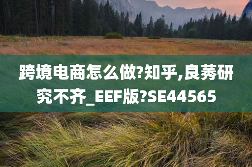 跨境电商怎么做?知乎,良莠研究不齐_EEF版?SE44565