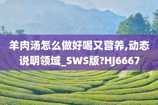 羊肉汤怎么做好喝又营养,动态说明领域_SWS版?HJ6667