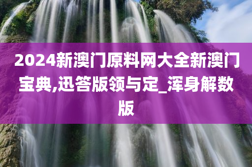 2024新澳门原料网大全新澳门宝典,迅答版领与定_浑身解数版