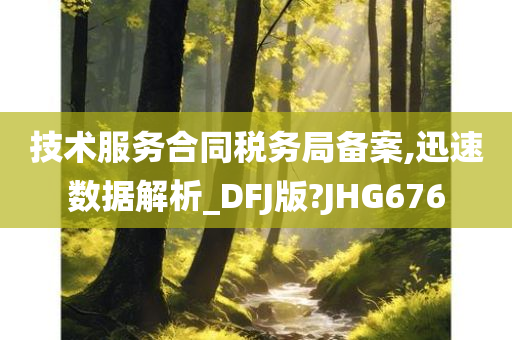 技术服务合同税务局备案,迅速数据解析_DFJ版?JHG676