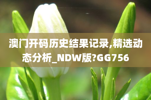 澳门开码历史结果记录,精选动态分析_NDW版?GG756