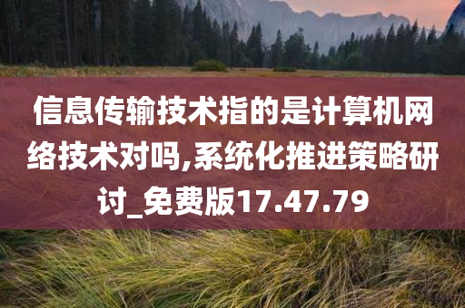 信息传输技术指的是计算机网络技术对吗,系统化推进策略研讨_免费版17.47.79