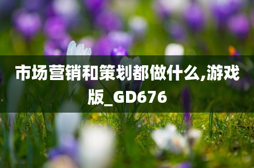 市场营销和策划都做什么,游戏版_GD676