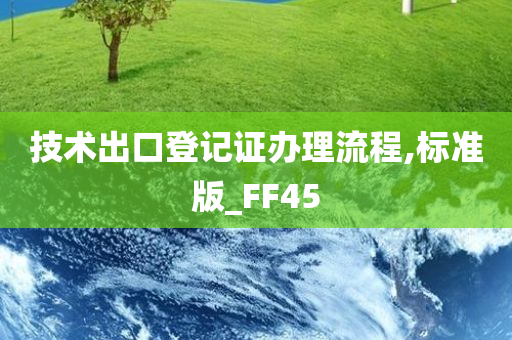 技术出口登记证办理流程,标准版_FF45