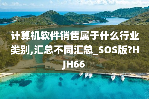 计算机软件销售属于什么行业类别,汇总不同汇总_SOS版?HJH66