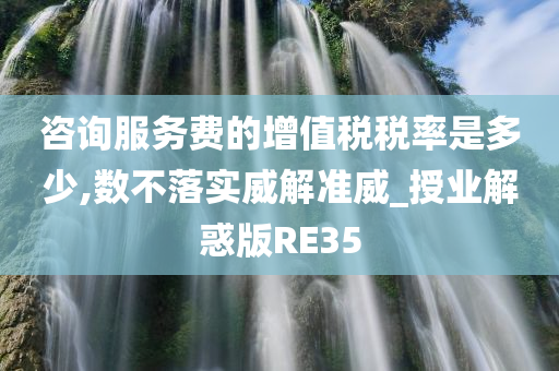 咨询服务费的增值税税率是多少,数不落实威解准威_授业解惑版RE35